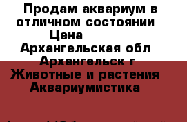 Продам аквариум в отличном состоянии › Цена ­ 1 700 - Архангельская обл., Архангельск г. Животные и растения » Аквариумистика   